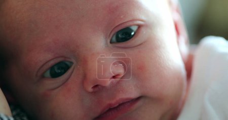 Photo for Newborn baby close-up first days of life awake observing learning about the world - Royalty Free Image