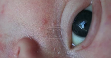 Foto de Newborn baby eyes observing and learning about the world, macro close-up of infant eye - Imagen libre de derechos
