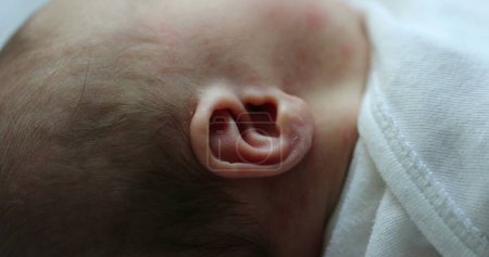 Photo for Newborn ear, close-up of infant right ear macro - Royalty Free Image