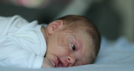 Téléchargez les photos : Newborn baby infant laying in bed being adorable and cute - en image libre de droit