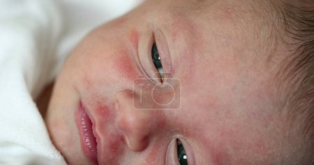 Foto de Newborn baby infant close-up macro detail - Imagen libre de derechos