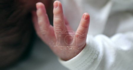 Foto de Newborn baby hands close-up in macro - Imagen libre de derechos