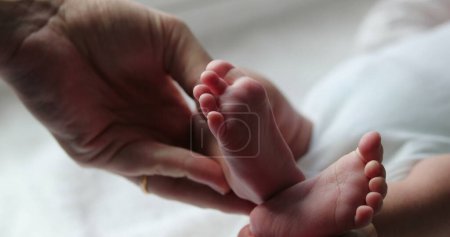 Photo for Beautiful newborn baby infant foot and feet together - Royalty Free Image