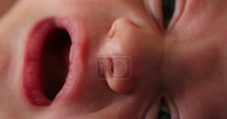 Photo for Macro closeup of newborn baby infant face - Royalty Free Image