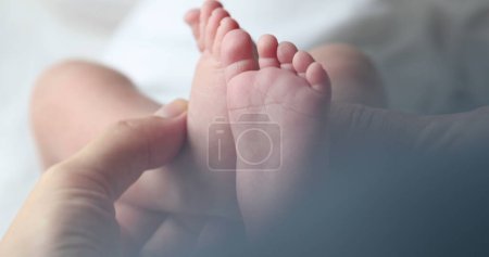Photo for Holding Newborn baby infant feet and foot - Royalty Free Image