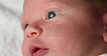 Téléchargez les photos : Newborn baby awake looking and learning closeup - en image libre de droit
