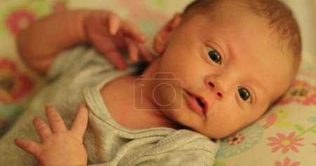 Foto de Newborn baby infant closeup face during first month of life - Imagen libre de derechos