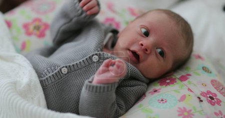Téléchargez les photos : First month old newborn baby infant - en image libre de droit