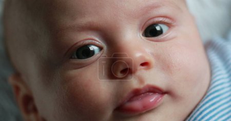 Téléchargez les photos : Healthy Baby portrait newborn face closeup during first months of life - en image libre de droit
