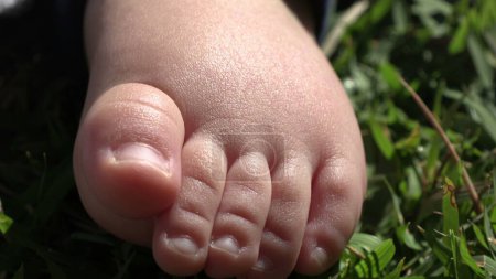 Foto de Lindo bebé recién nacido pie macro en hierba - Imagen libre de derechos