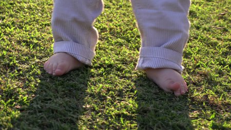 Téléchargez les photos : Bébé pieds orteils sentir l'herbe dans la nature en plein air pendant le coucher du soleil debout apprendre à marcher - en image libre de droit
