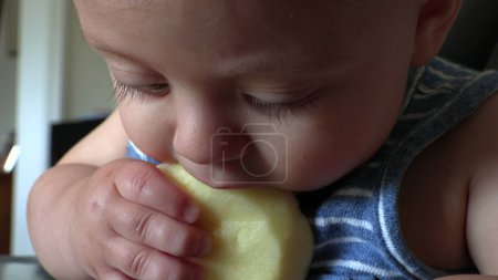 Photo for Baby taking a bite of apple fruit. Infant toddler eating healthy food - Royalty Free Image