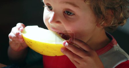 Téléchargez les photos : Petit garçon mangeant des melons au petit déjeuner, tout-petit prend une bouchée de fruit et essuie la bouche avec le bras - en image libre de droit