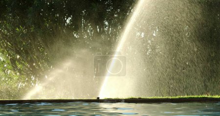 Foto de Water sprinkles watering lawn garden irrigation - Imagen libre de derechos