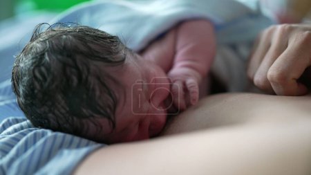 Nahaufnahme des Stillens von Neugeborenen zum ersten Mal nach der Geburt, Bindungszeit mit der Mutter in den ersten Minuten des Lebens