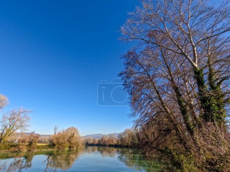 Photo for The banks of the Tiber river in the countryside of the Sabina Romana in winter with bare trees. - Royalty Free Image