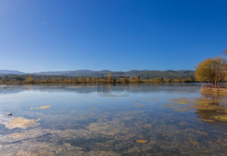 Foto per Veduta delle acque calme del lago Posta Fibreno con molte alghe affioranti. Provincia di Frosinone. Italia. - Immagine Royalty Free