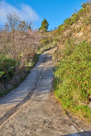 Téléchargez les photos : Mountain trails - La Palma, Canary Islands. Mountain trails on La Palma, the west coast, Canary Island, Spain, Aerial view - en image libre de droit