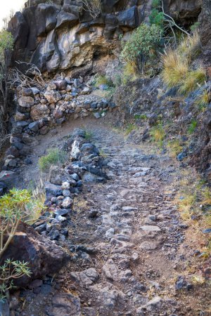 Téléchargez les photos : Mountain trails - La Palma, Canary Islands. Mountain trails on La Palma, the west coast, Canary Island, Spain, Aerial view - en image libre de droit