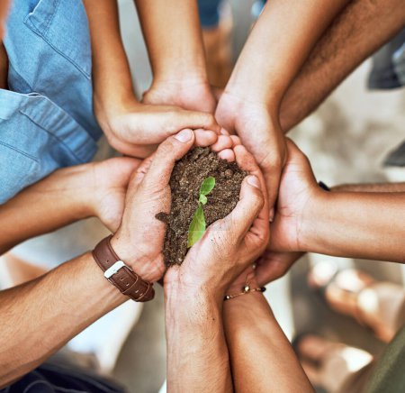 Photo for Growth arises from the efforts we put in as a team. Closeup shot of a group of people holding a plant growing in soil - Royalty Free Image