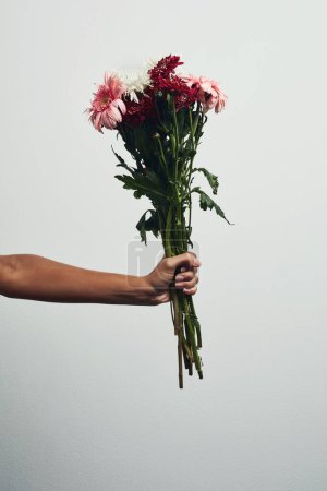 Photo for These flowers represents pure love and admiration. Studio shot of an unrecognizable woman holding a bunch of flowers against a grey background - Royalty Free Image