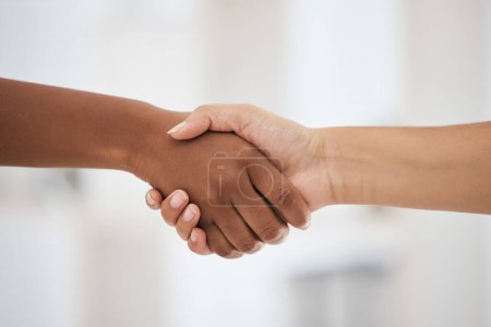 Handshake, b2b and shaking hands after partnership deal in a successful business meeting for an onboarding negotiation. Hiring, thank you and hr manager with a new employee in a company job interview.