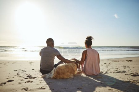 Foto de Relájese, perro y feliz con la pareja en la playa para la paz, vacaciones de verano y puesta de sol. El amor, el apoyo y los viajes con el hombre y la mujer con mascotas por el océano para la naturaleza, la salud y la fecha o vacaciones juntos. - Imagen libre de derechos