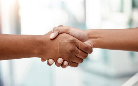 Photo for Handshake, interview and human resources manager networking with a businessman in an office building. We are hiring, diversity and business people shaking hands after a successful negotiation meeting. - Royalty Free Image