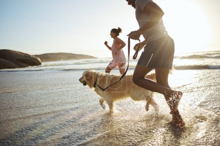 Foto de Correr, perro y playa con una pareja negra y mascota en el agua mientras está de vacaciones o de vacaciones en la costa. Arena, viajes y animales con un hombre, mujer y canino en el océano o el mar durante el verano. - Imagen libre de derechos