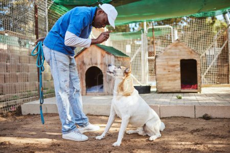 Hundeausbildung, Tiertrainer und Mensch lehren dem Hund Respekt, hören Herrchen und Frauchen Gehorsam mit Sitzbefehl zu. Tierheimmitarbeiterin, Tierpflegerin und professionelle Hundetrainerin coacht Rettung.