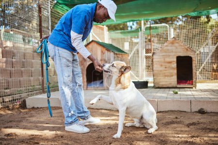 Dog, food and training for animal adoption with professional black worker at shelter for rescue and lost pets. Trainer, learning and reward for good discipline of homeless pet at volunteer center