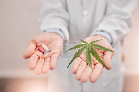 Cannabis, hierba medicinal y píldoras de marihuana en la mano para aliviar el dolor natural con una medicina orgánica thc, cbd y salud. Gran alternativa farmacéutica, crisis de opioides y prescripción farmacéutica 420.