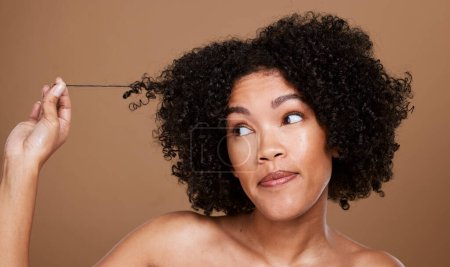 Schwarze Afro-Frau, unordentliches Haar und Locken auf der Suche nach Kosmetik oder Salonbehandlung vor braunem Studiohintergrund. Afroamerikanerin in der Haarpflege hält verschränkten Strang auf Attrappe.
