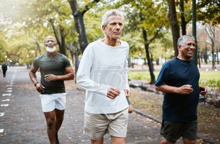 Photo for Run, group and senior men training, running and in street for health, wellness and fitness outdoor. Retirement, healthy males and friends running together, strong workout and exercise for cardio. - Royalty Free Image