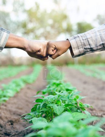 Fist bump, support and employees farming in partnership for growth, agriculture and sustainability on a farm. Meeting, deal and farmer people with goal for sustainable ecology and eco friendly nature.