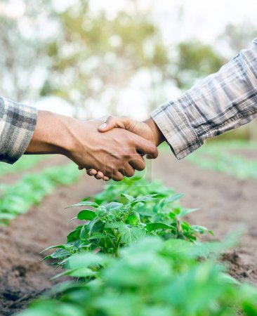 Farming, agriculture and handshake for b2b business deal, partnership or agreement on agro farm shaking hands for trust, teamwork and growth. Man and woman farmer together for sustainability support.