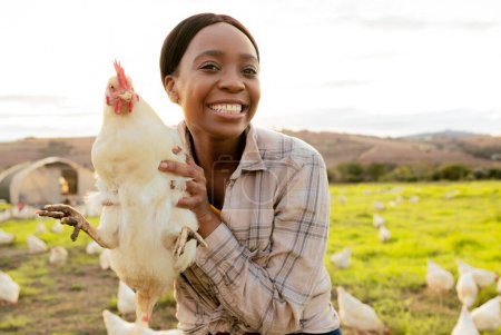 Téléchargez les photos : Poulet, fermier et sourire dans l'élevage, l'agriculture et le démarrage d'entreprise en plein air en Afrique du Sud. Portrait, femme noire et heureuse en travaillant avec des animaux dans une ferme avicole à la campagne. - en image libre de droit