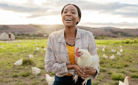 Photo for Farmer, chicken and black woman, happy and working on agriculture, small business and sustainability countryside. Farmer worker, smile and animal sustainable farming outdoor in nature with poultry. - Royalty Free Image