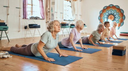 Yoga, ejercicio y mujeres mayores estirándose por el equilibrio, la paz y el bienestar en zen studio. Meditación, calma y grupo de amigos mayores haciendo ejercicios de pilates para la salud mental y corporal en clase de chakra