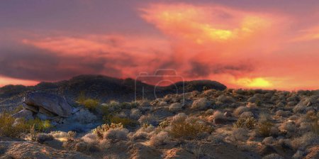 Désert californien - Anza-Borrego. Anza-Borrego Desert State Park, Californie du Sud, États-Unis