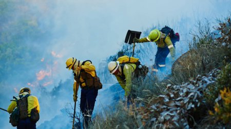 Foto de Vamos a apagar este fuego. bomberos que combaten un incendio salvaje - Imagen libre de derechos