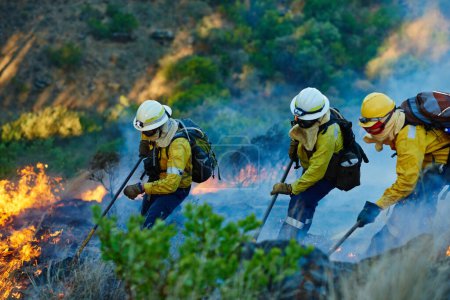 Foto de Empujando las llamas. bomberos que combaten un incendio salvaje - Imagen libre de derechos