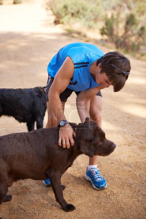 Photo for Dogs need their exercise too. a young man exercising outdoors with his dogs - Royalty Free Image