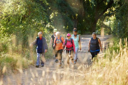 Natur, Wandern und Seniorenwanderungen im Wald für Bewegung, Gesundheit und Wellness mit Cardio-Outdoor-Workout. Fitness, gesunde und ältere Freunde oder Senioren-Trekking auf Waldwegen.