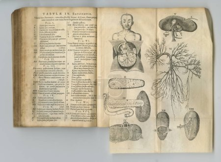 Foto de Diario rústico de medicina. Un viejo libro de anatomía con sus páginas en exhibición - Imagen libre de derechos