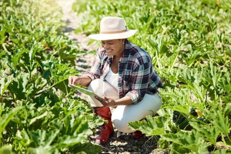 Photo for Young farmer sitting in a garden. Happy farmer using a digital tablet. African american farmer checking plants. Farmer using digital device to check produce. Smiling farmer checking plants. - Royalty Free Image
