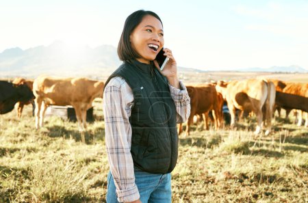 Photo for Cow, woman or farmer on a phone call in nature talking, communication or speaking of cattle farming production. Success, agriculture or happy worker networking or in conversation about cows or beef. - Royalty Free Image