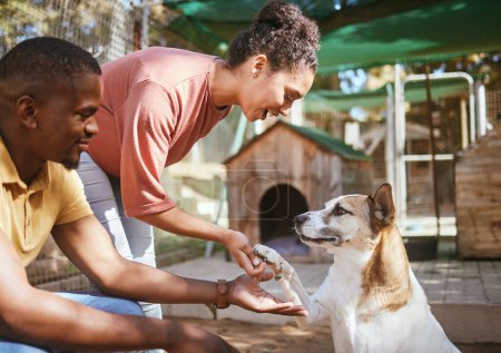 Black couple, love or petting dog in animal shelter, foster kennel or adoption center. Smile, happy or love man and woman bonding and touching pet canine for foster care or community volunteer work.
