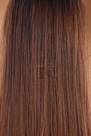 Téléchargez les photos : Tête de femme, dos et coiffure brune en traitement kératine studio, teinture brésilienne ou bien-être de la santé. Zoom, brune et texture brune avec détail droit sur modèle à croissance saine. - en image libre de droit