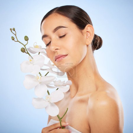 Photo for Beauty, skincare and woman with an orchid in a studio for a health, wellness and natural face routine. Cosmetic, self care and girl model with clear skin from spa facial treatment by blue background - Royalty Free Image